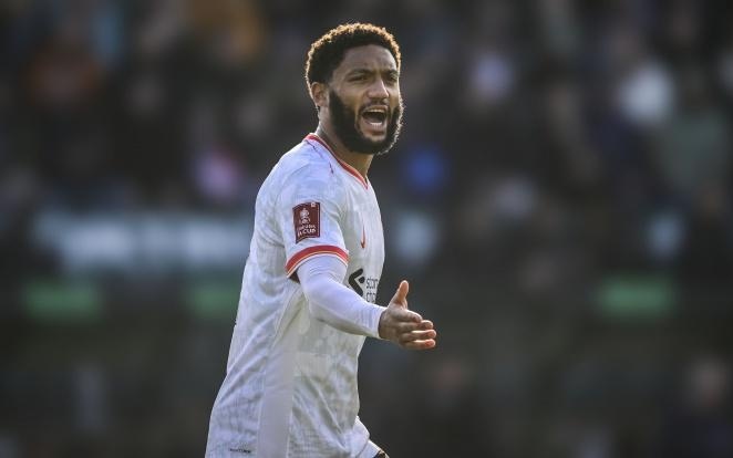 心的到来 心的到来